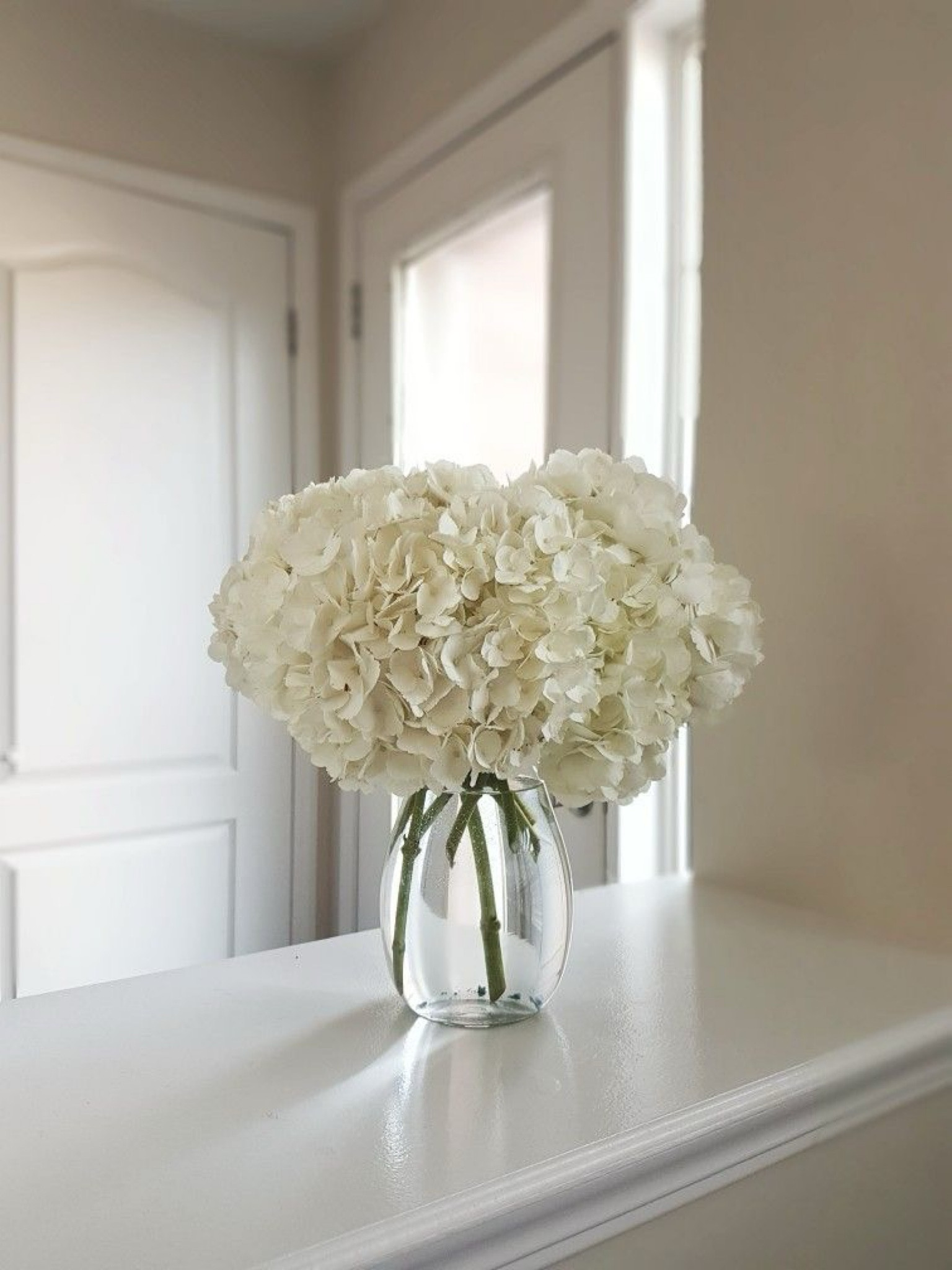 faux flowers but make it look real😉


amazon finds, faux flowers , silk flowers, amazon finds, hydrangeas 

#LTKHome #LTKStyleTip #LTKFindsUnder50