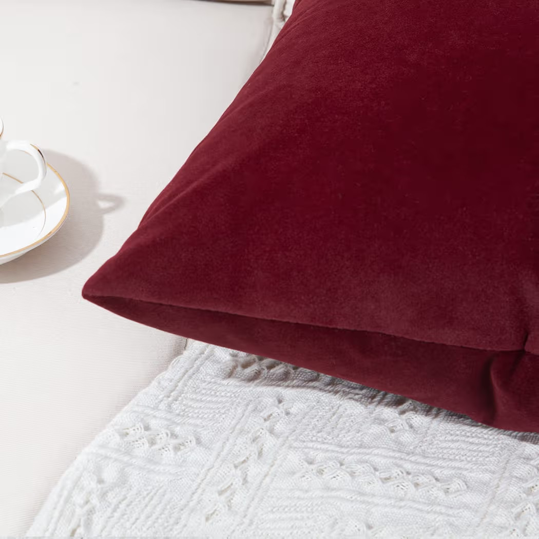 Artcest Set of 2 Decorative Soft Velvet Throw Pillow Covers, Accent Solid Comfortable Cushion Cas... | Amazon (US)