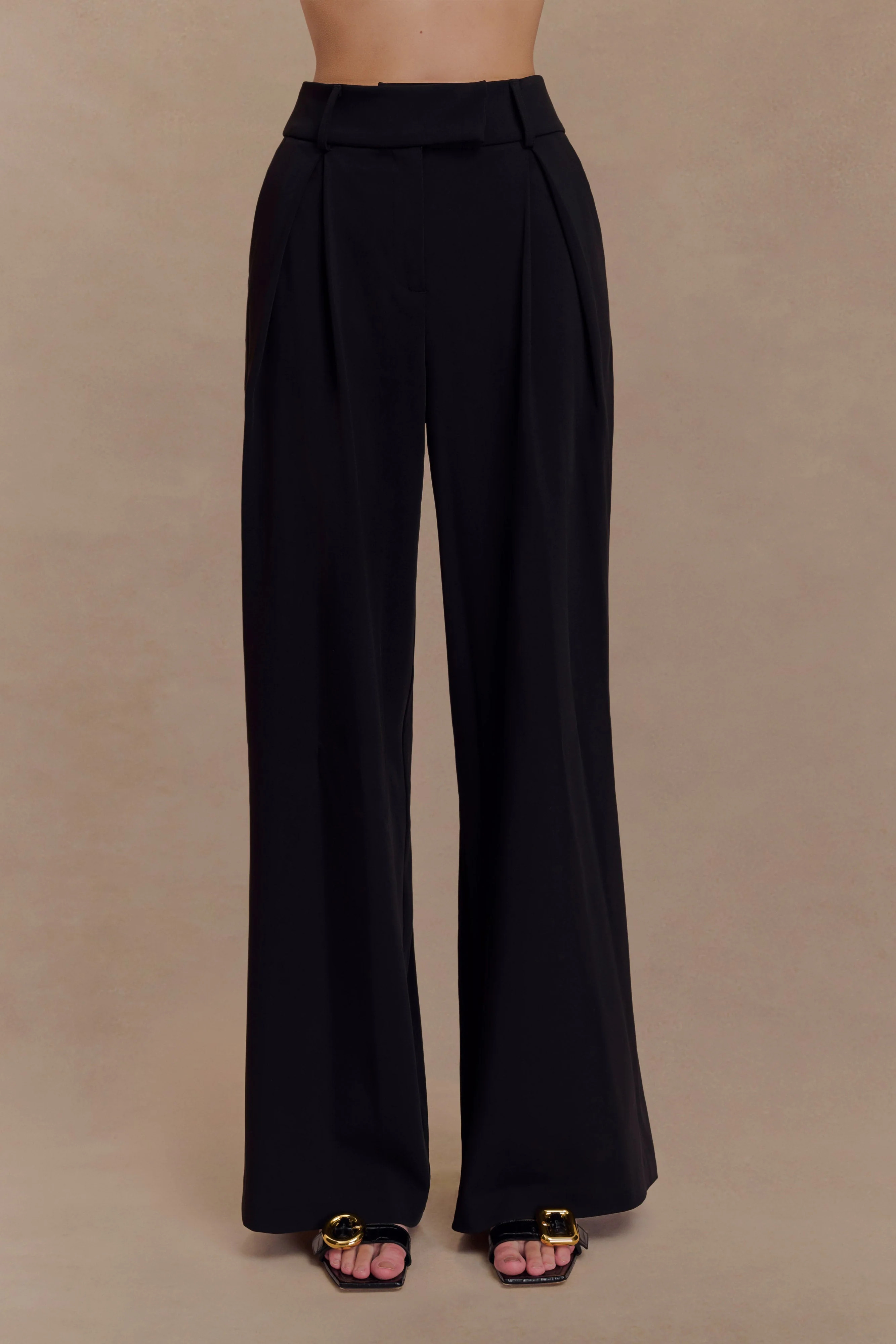 Jacqueline Pleated Wide Leg Pants - Black | MESHKI US