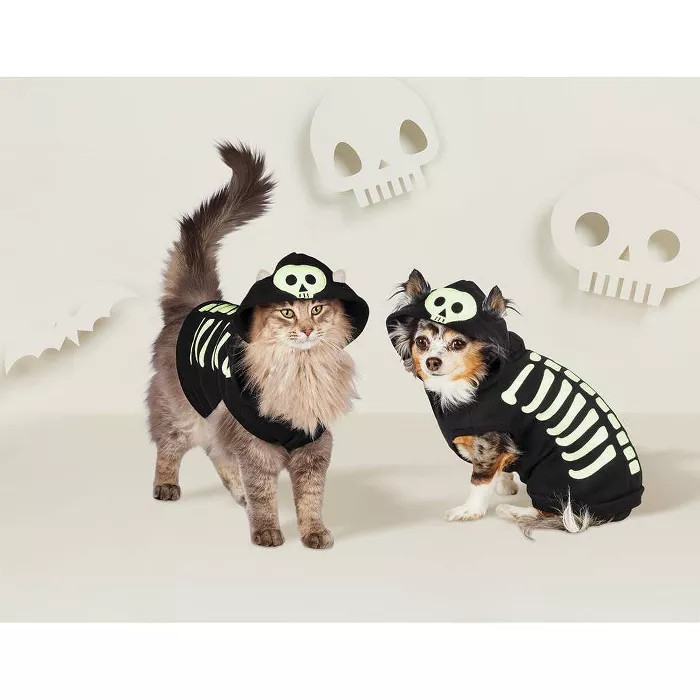 Skeleton Dog and Cat Hoodie - Hyde & EEK! Boutique™ | Target