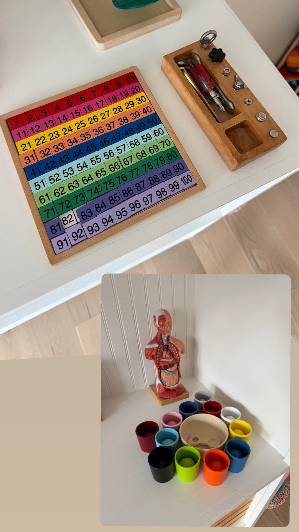 Number toy. Counting. Human body. Color matching. Kids toys. Tool sensory kit. Tools. Kids toys  