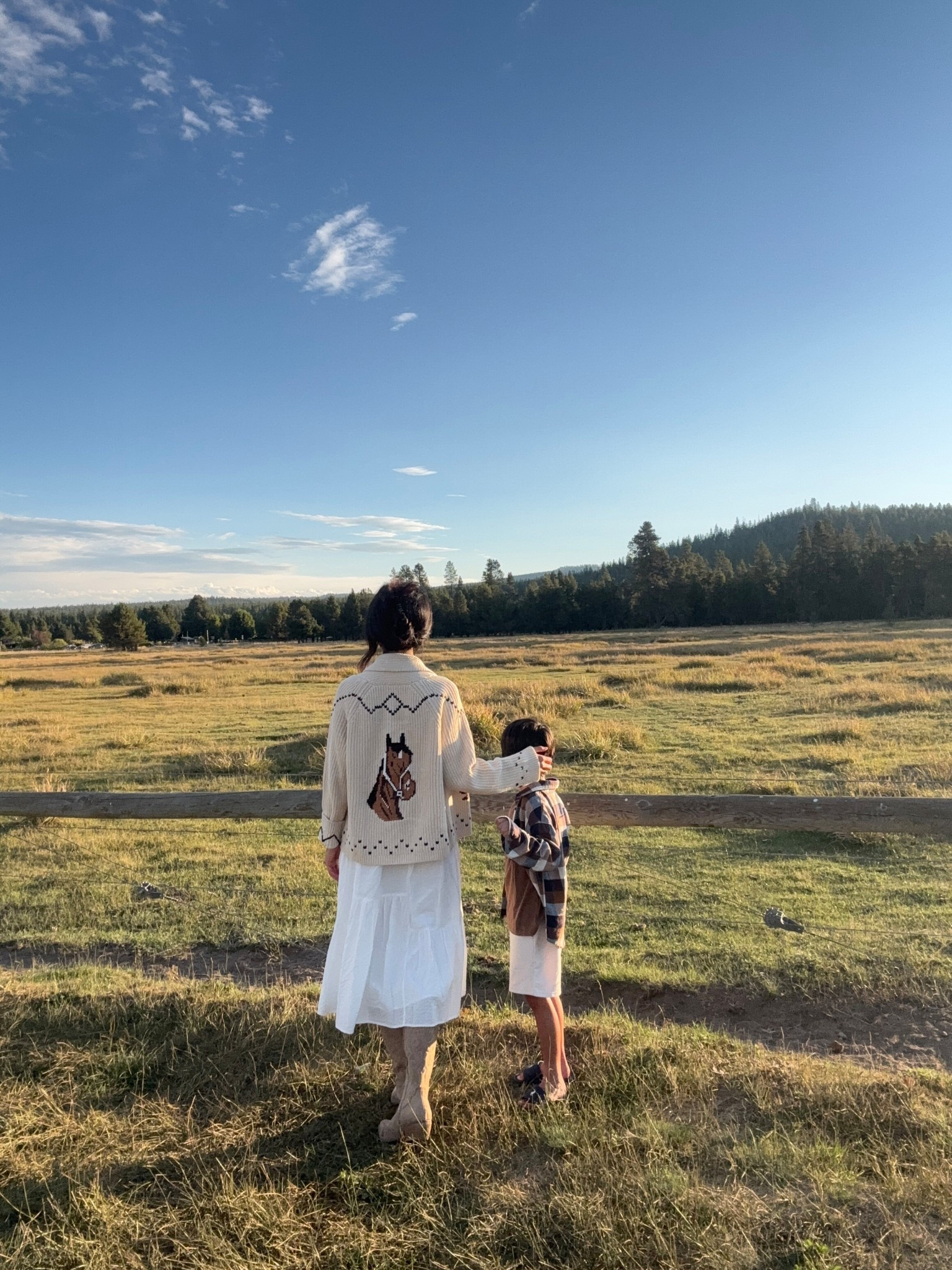 🐴 Horse lodge cardigan sweater. Wearing a small/size 1
Jenni Kayne dress. Wearing an xs. Perfect for laying into fall. 
Taupe suede western boots. These are so comfortable and beautiful. Super affordable too!

The Great horse sweater 
Equestrian style
Equestrian outfit 
Affordable western boots 
White dress


#LTKTravel #LTKOver40 #LTKSeasonal