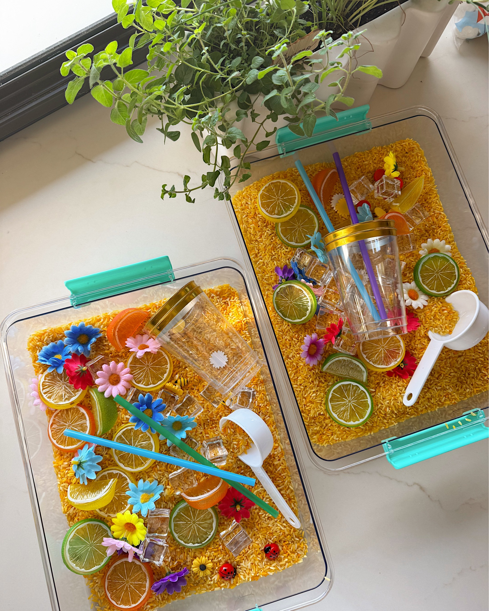 Sunshine in a bin ☀️💛
Homemade yellow rice + fresh lemonade = the happiest little sensory setup 🍋✨

Scoop, pour, mix, repeat… and maybe sneak a sip or two 😆🥄
Simple, sweet, and keeping little hands (and minds) busy 🌼👶🏼

#SensoryPlay #MontessoriAtHome #MomLifeMagic #PlayBasedLearning