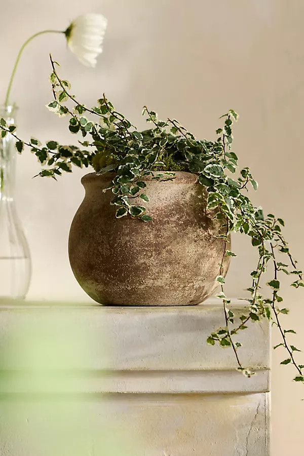 Weathered Terracotta Jar Planter | Anthropologie (US)