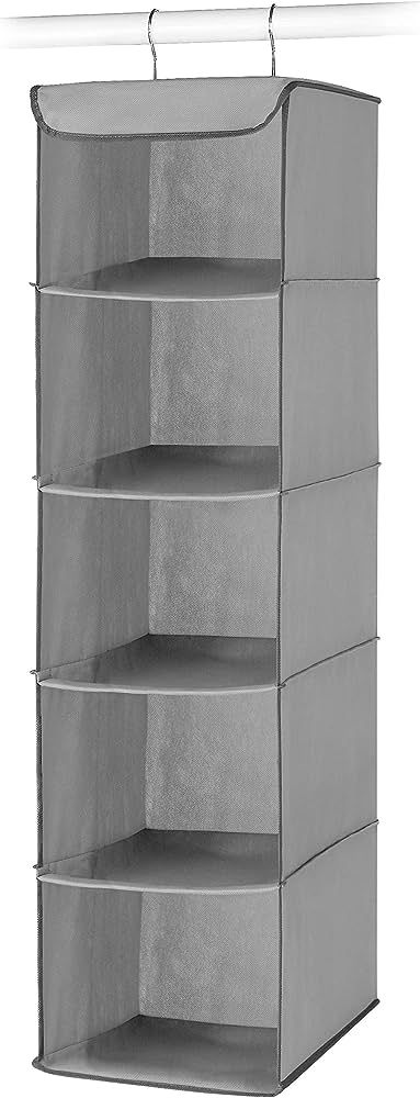 Whitmor 5 Section Closet Organizer - Hanging Shelves with Sturdy Metal Frame | Amazon (US)
