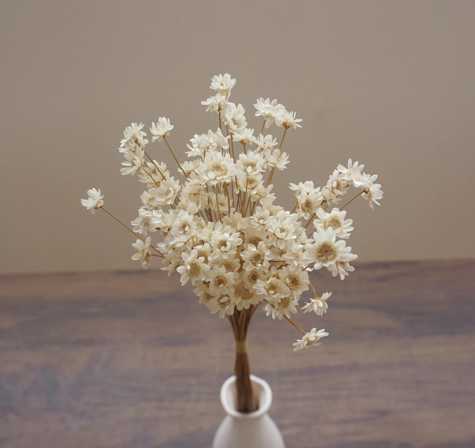 Star Flowers , Star Flower Blossom in Pink，dried Flowers, Natural Starflowers , Mini Star Gixa ... | Etsy (US)