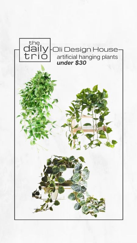 Artificial hanging plants under $30

Fake plants, artificial flowers, artificial plants, real touch plants, hanging branches

#LTKunder50 #LTKFind #LTKhome
