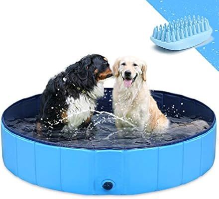 GoStock Dog Pool for Dogs, Folding Kiddie Pool, Pet Pools for Dogs, Collapsible Pool for Dogs | Amazon (US)