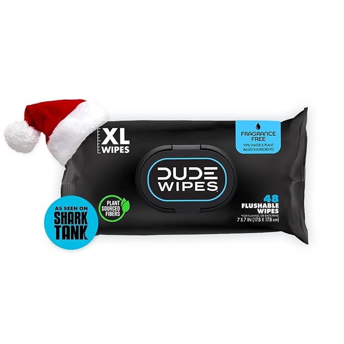 DUDE Wipes - Flushable Wipes - Stocking Stuffers - 1 Pack, 48 Count - Unscented - Vitamin-E & Alo... | Amazon (US)