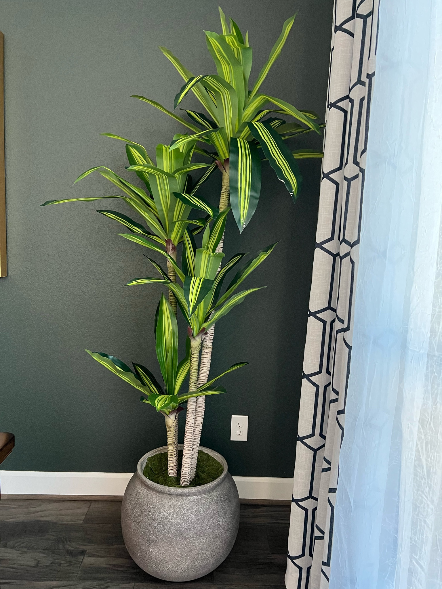 6 Ft Dracaena Tree Faux Plan #LTKhome

#LTKhome #LTKFind