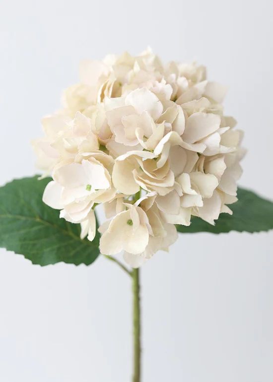 Beige Artificial Hydrangea Flower - 19 | Afloral (US)