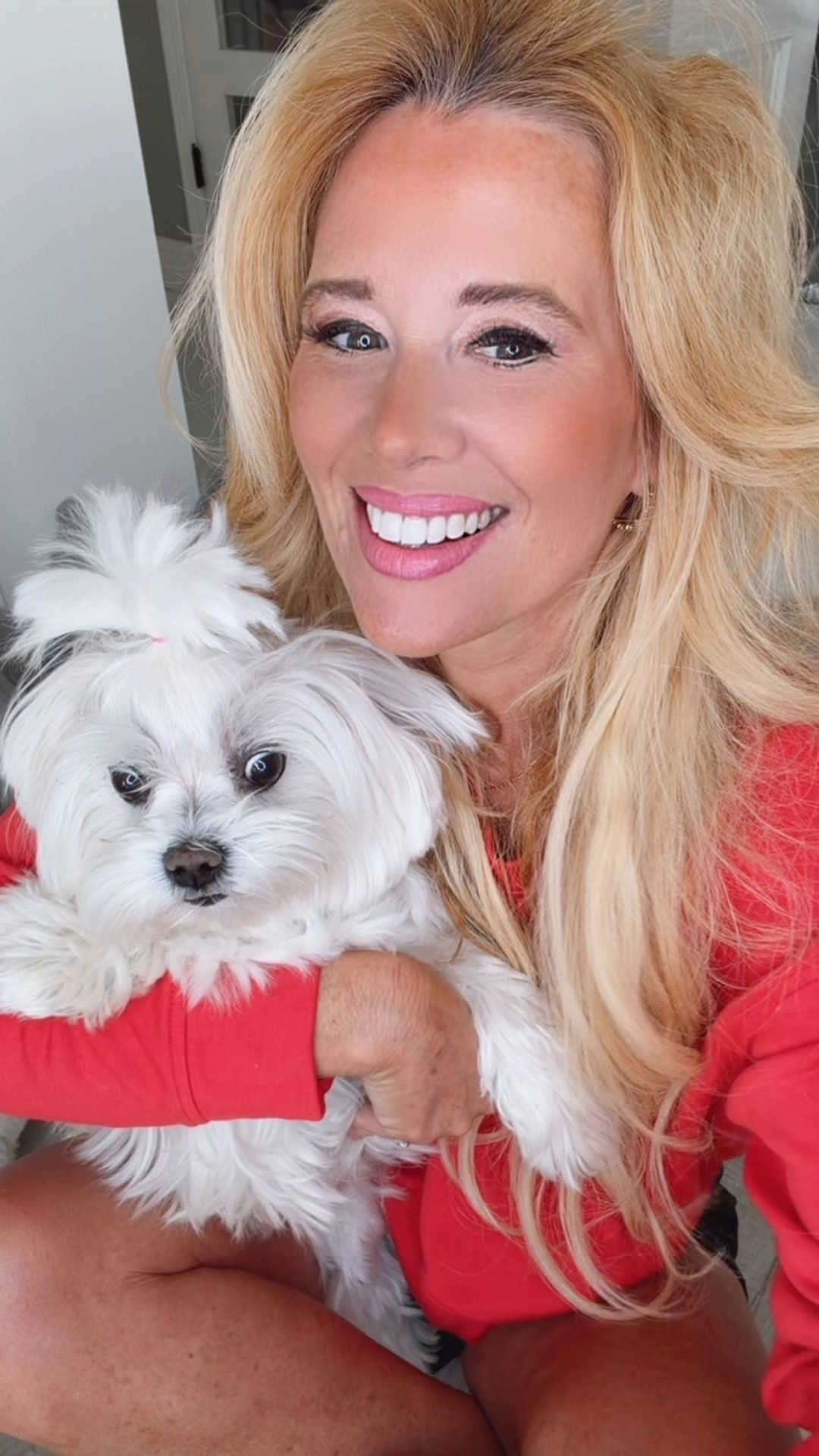 The best probiotics for dogs 

#LTKHome #LTKKids #LTKmomlife