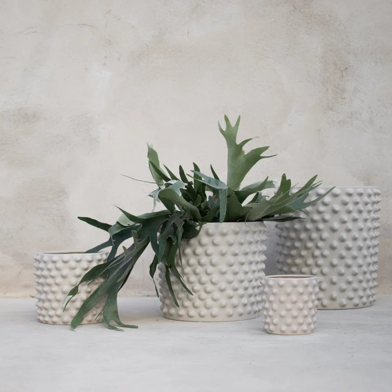 DBKD Cloudy Ceramic Pot Planter & Reviews | Wayfair | Wayfair North America