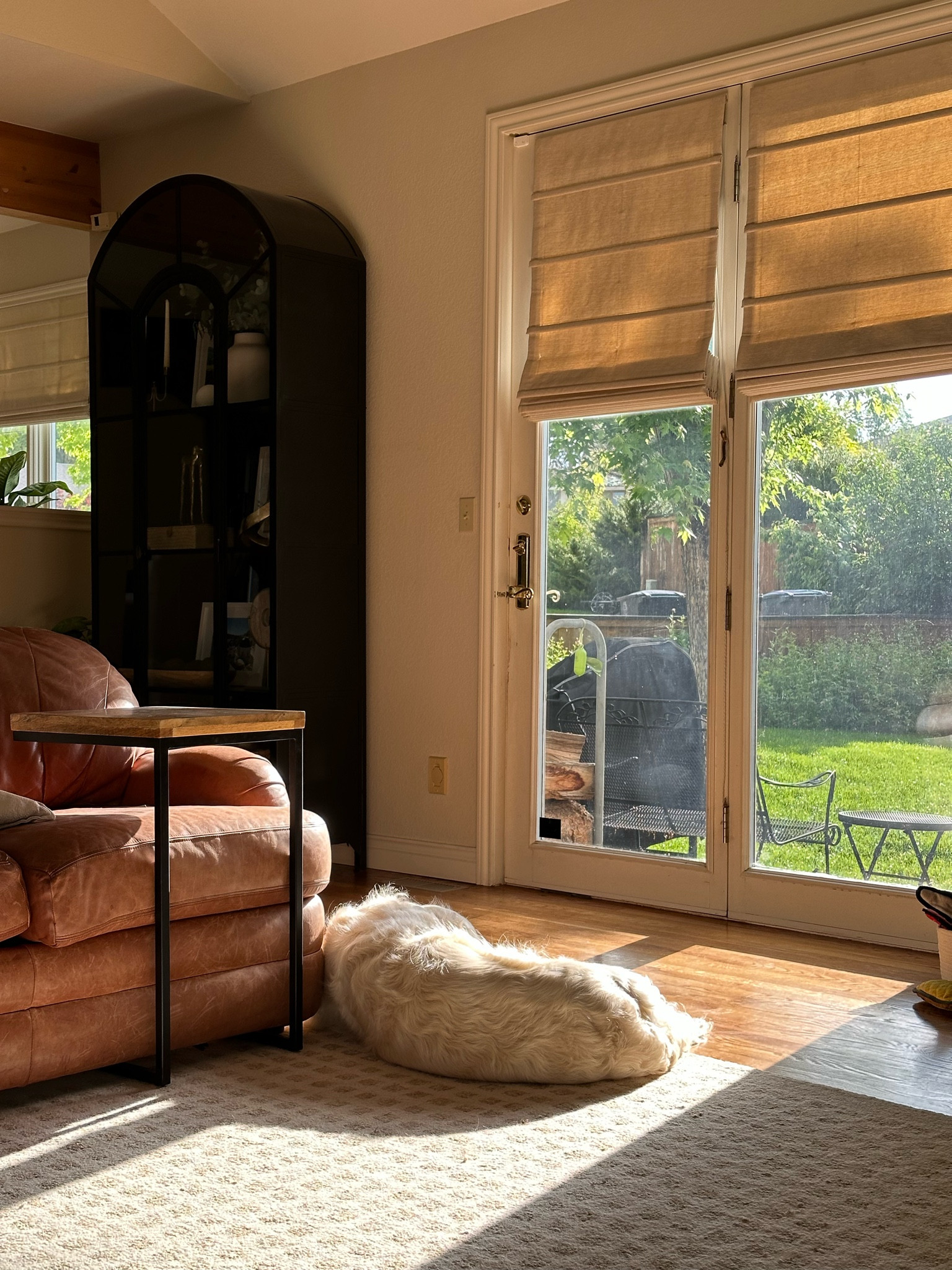 Finn loves to lay in the sun. I have been wanting a second C&B  arched cabinet to make the room symmetrical. It’s my favorite piece in the house!

#LTKhome #LTKFind