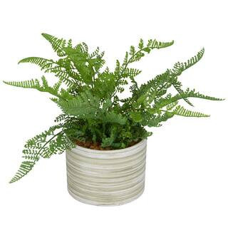 11 in. H Fern Artificial Plant with Realistic Leaves and Patterned Round Pot | The Home Depot