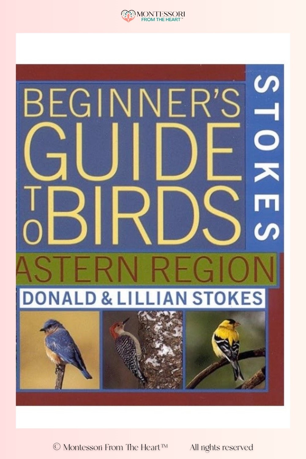 Stokes Beginners Guide to Birds Book 

#LTKKids #LTKstorytime #LTKHome