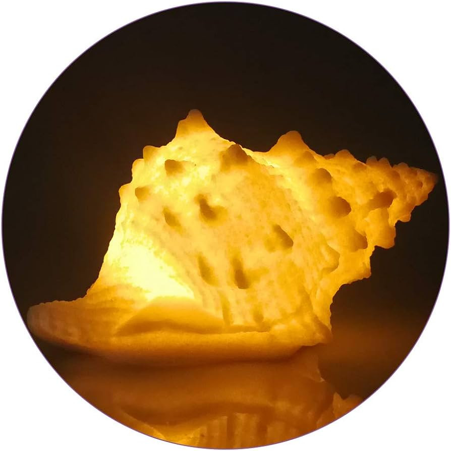 GREENIC Portable Conch Shell Beach Themed Night Light w Timer for Kids Adults Bedroom Nightstand ... | Amazon (US)