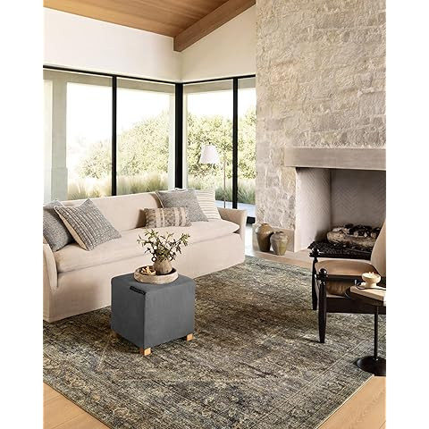 Loloi Amber Lewis Billie Collection, Tobacco & Rust 2'-6" x 7'-6" Area Rug – Antique & Distress... | Amazon (US)