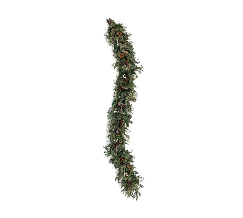 Fresh Juniper, Pinecone & Tallow Berry Garland - 6' | Pottery Barn (US)