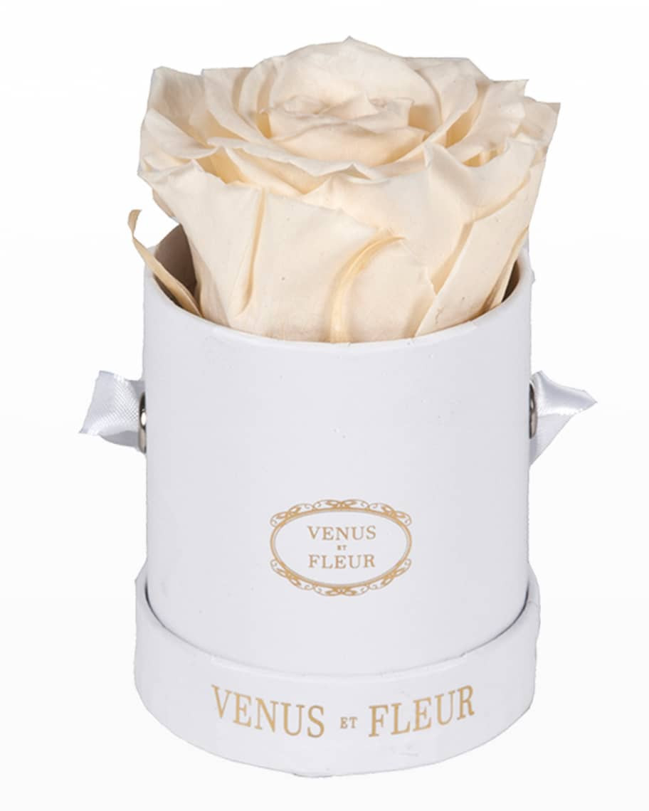 Venus ET Fleur Classic Mini Round Rose Box | Neiman Marcus