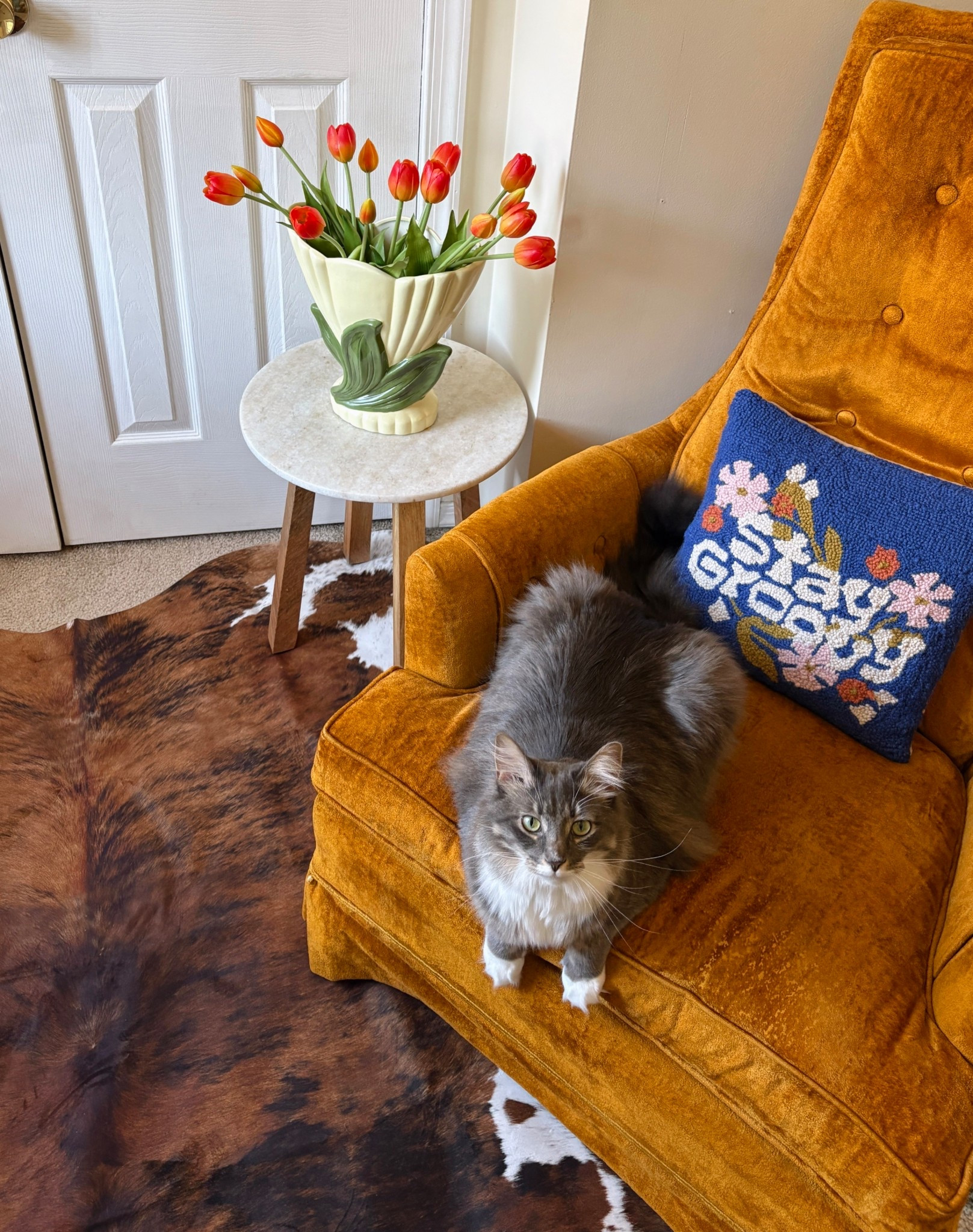 Cat safe tulips 🌷 These fake flowers look so realistic! 

#LTKSeasonal #LTKdayinmylife #LTKHome