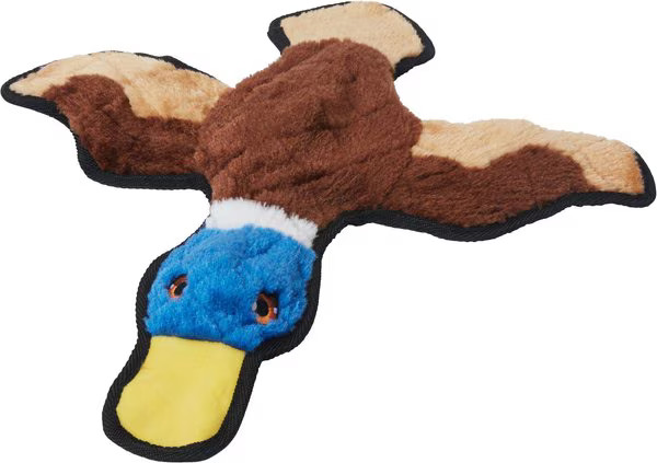 Frisco Flat Plush Squeaking Duck Dog Toy | Chewy.com