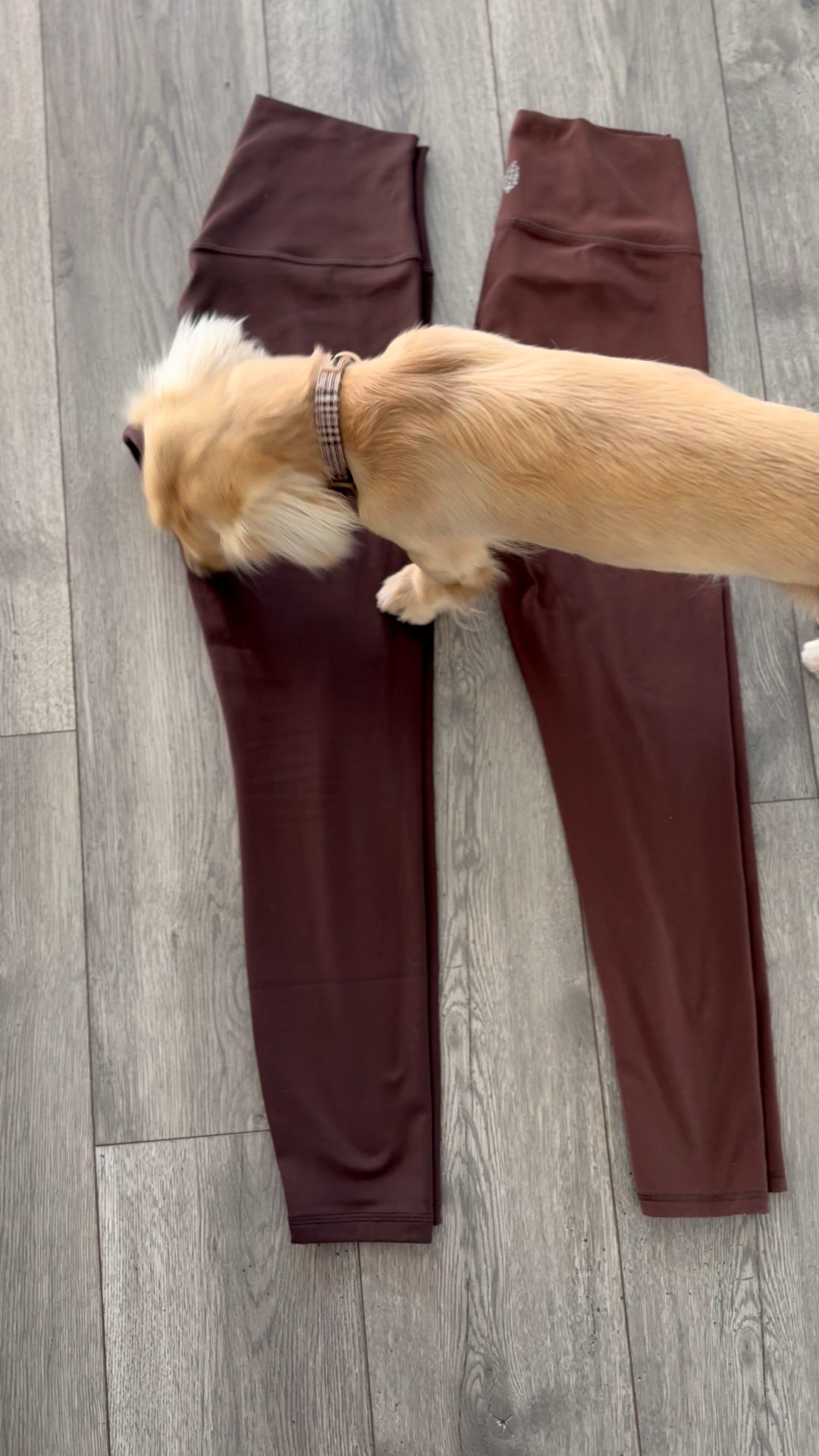 size small fp movement 
size medium amazon (on left) 

#LTKSaleAlert #LTKFindsUnder50 #LTKActive