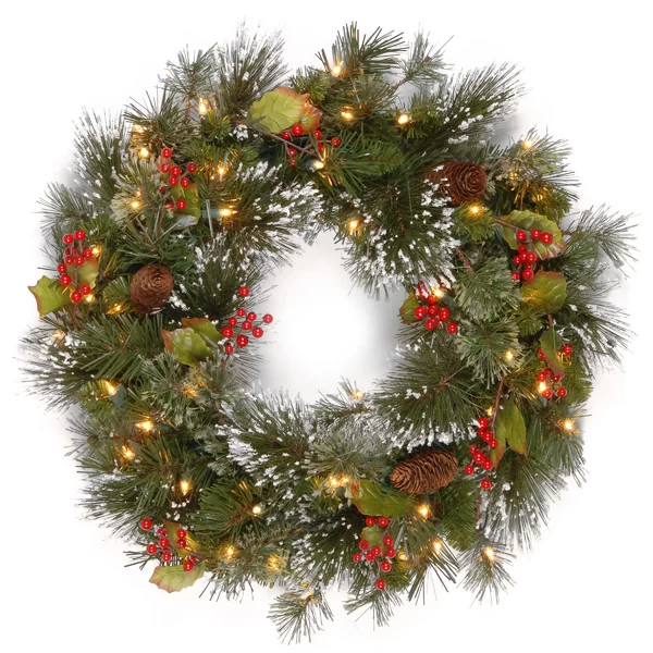 Kaye 24" Lighted Wreath | Wayfair North America
