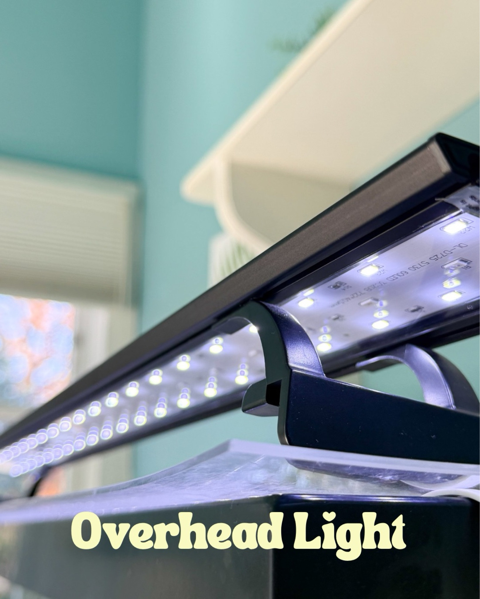 Overhead light for your hermit crabs tank