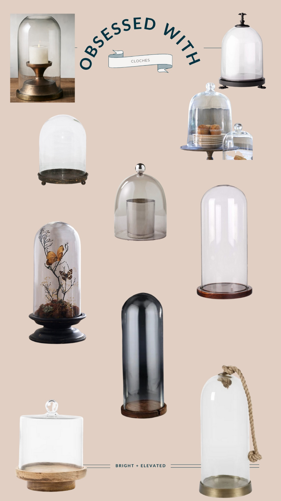 Cloche, home accessories, terrarium 

#LTKstyletip #LTKfindsunder100 #LTKhome