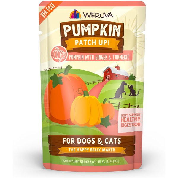 WERUVA Pumpkin Patch Up! Pumpkin with Ginger & Turmeric Dog & Cat Wet Food Supplement, 1.05-oz po... | Chewy.com