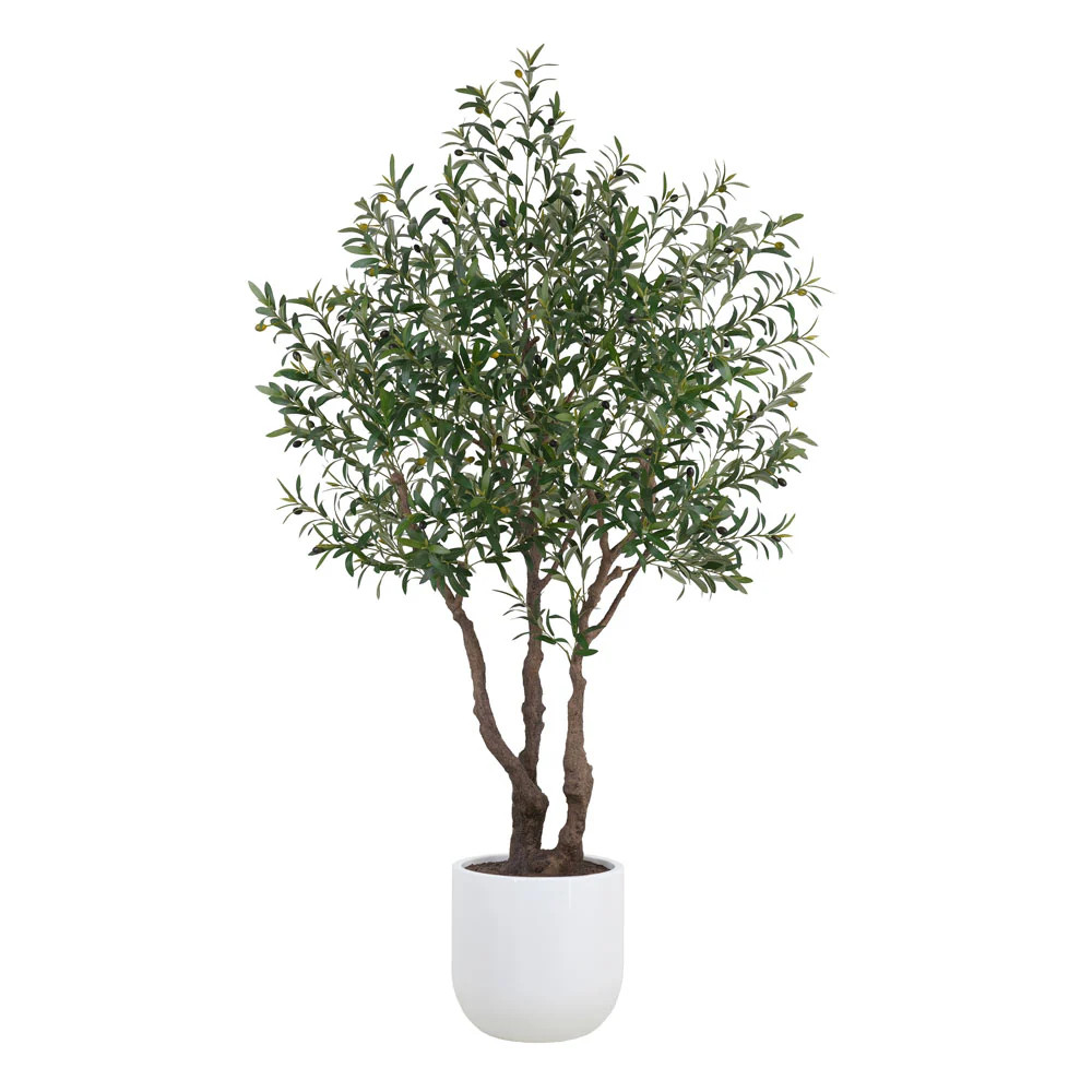 7.5' Olive Tree – Potted Lifelike Elegance | CG Hunter