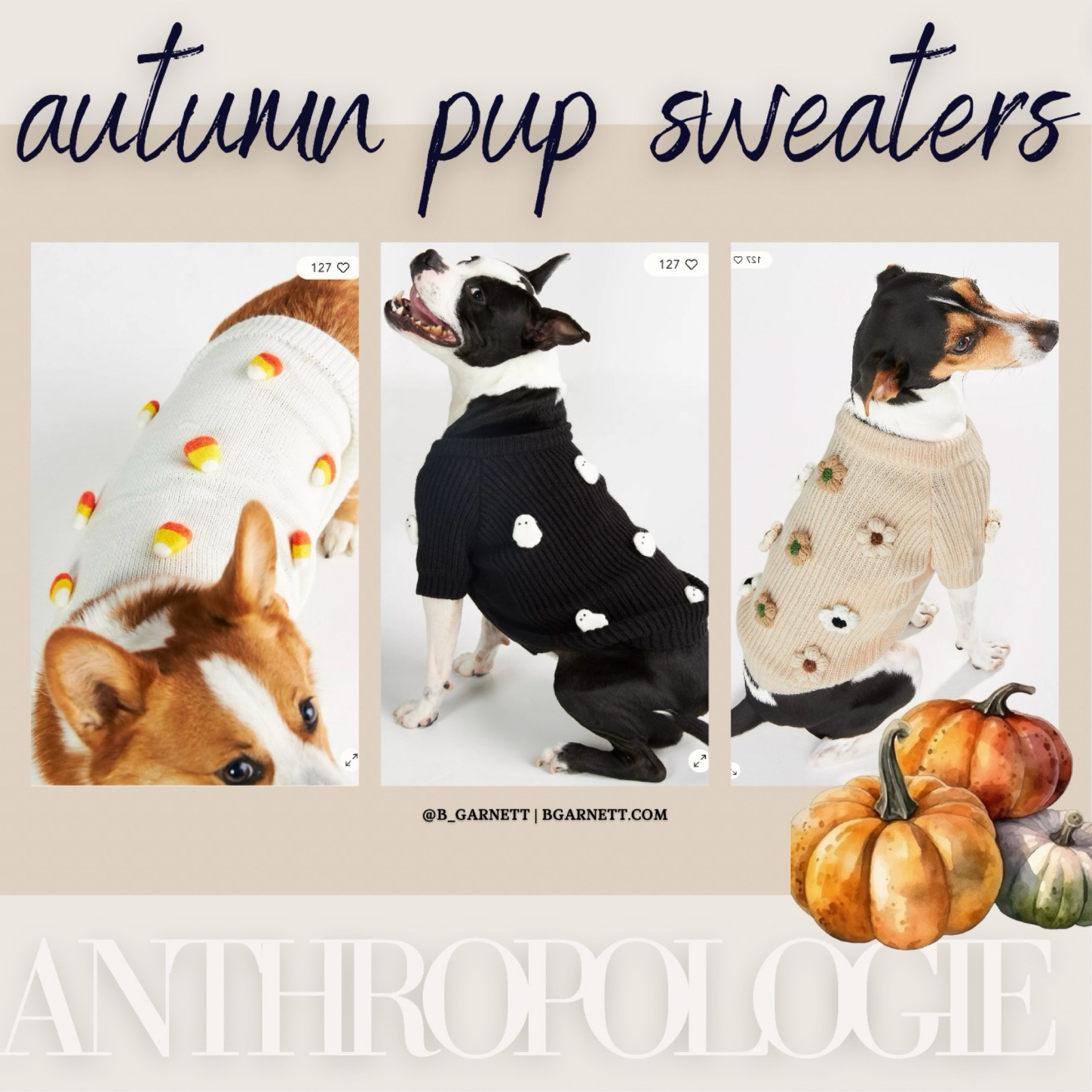It’s beginning! Starting to get autumnal & Halloween marketing emails! 

Starting to share my early fall picks from my favorite places to shop starting with this years line up of pup sweaters from Anthropology 

Fall decor | dog sweater | dog clothes | autumn decor 

#LTKFindsUnder100 #LTKBaby #LTKFamily