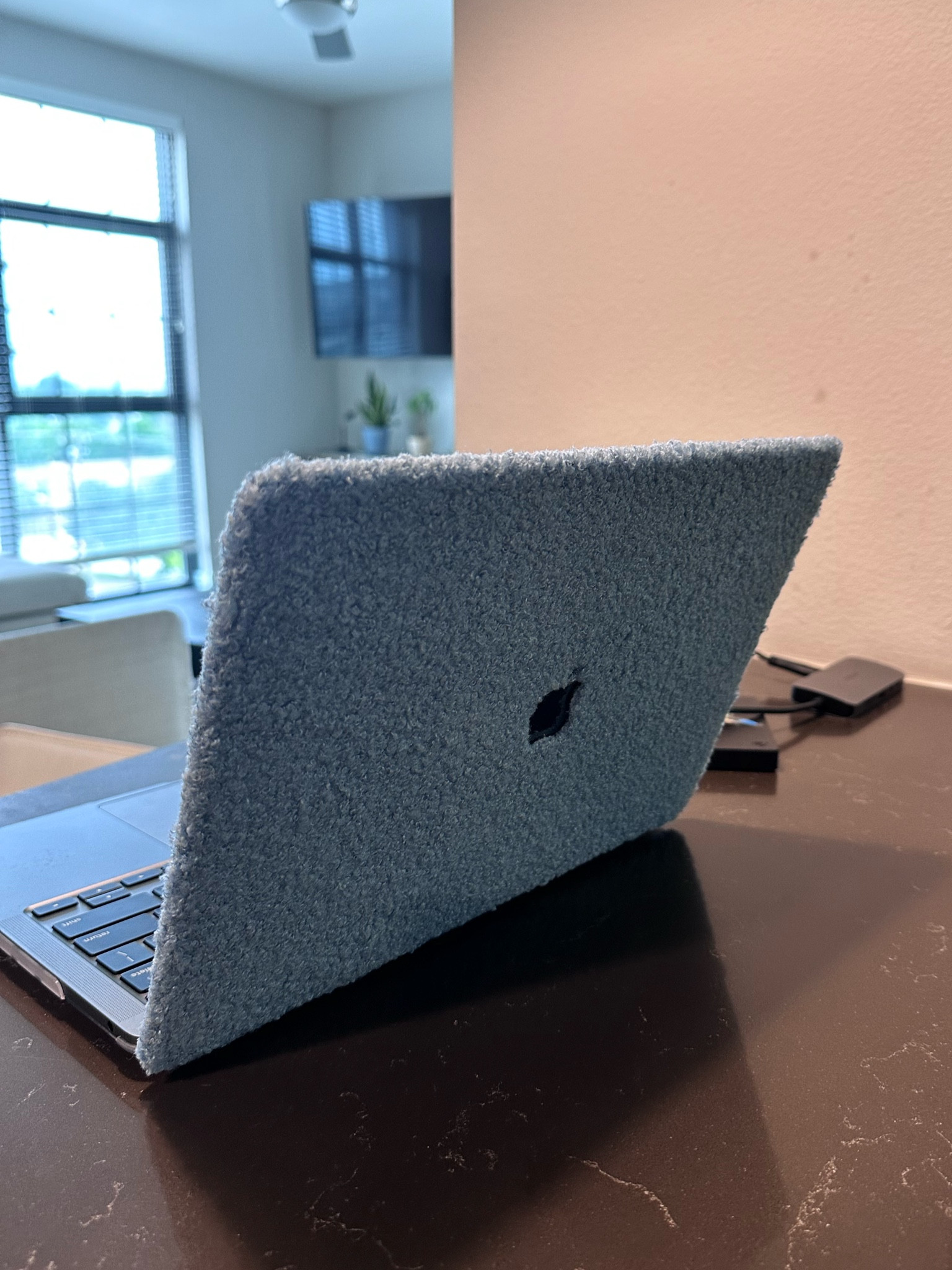 Furry case 🩵 #laptopcase #macbookpro