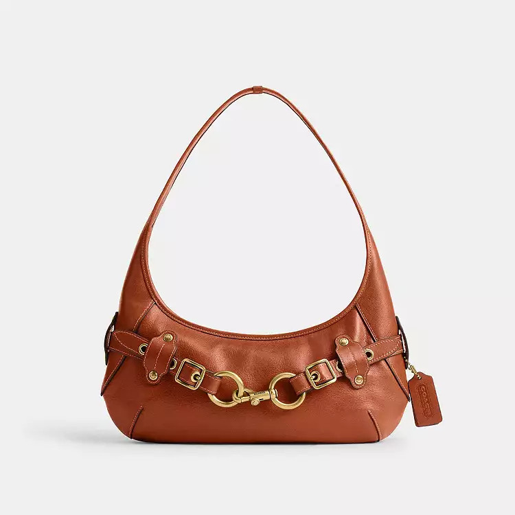 $425 | Coach (US)