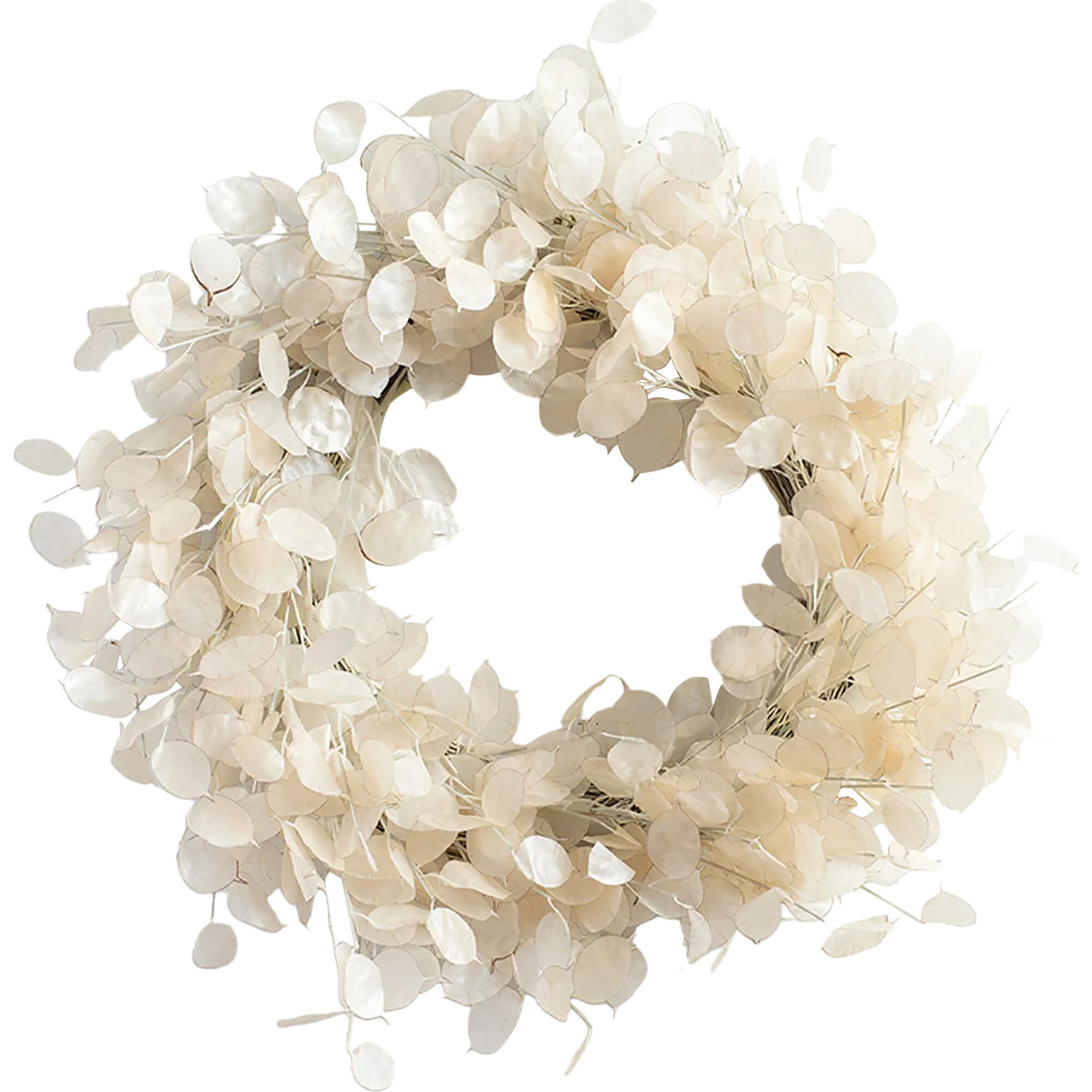 Dried Look Translucent Bleached Lunaria Wreath | Maisonette