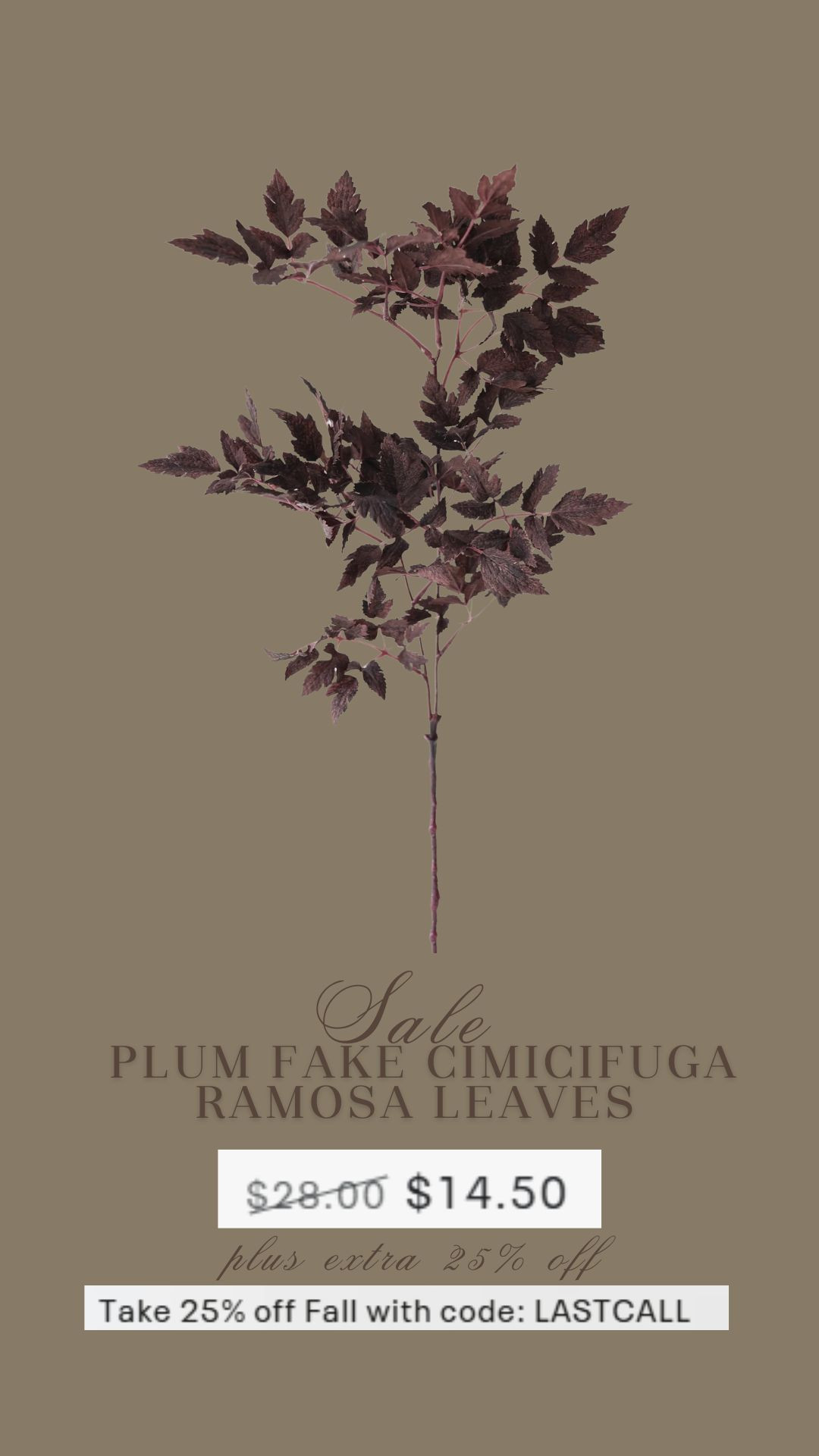 Plus extra 25% off with code: LASTCALL Ends 9/7

autumn-fall-stems-plum-purple-fake-cimicifuga-ramosa-fall-leaves 


#LTKSeasonal #LTKSaleAlert