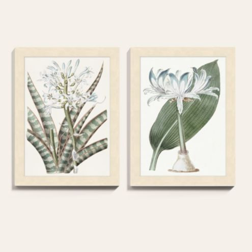 Exotic Elegance Art Oak Frame | Ballard Designs, Inc.