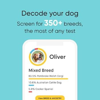 Embark Dog DNA Test Kit | Breed & Genetic Ancestry Discovery | Trait & Health Detection | at-Home... | Amazon (US)