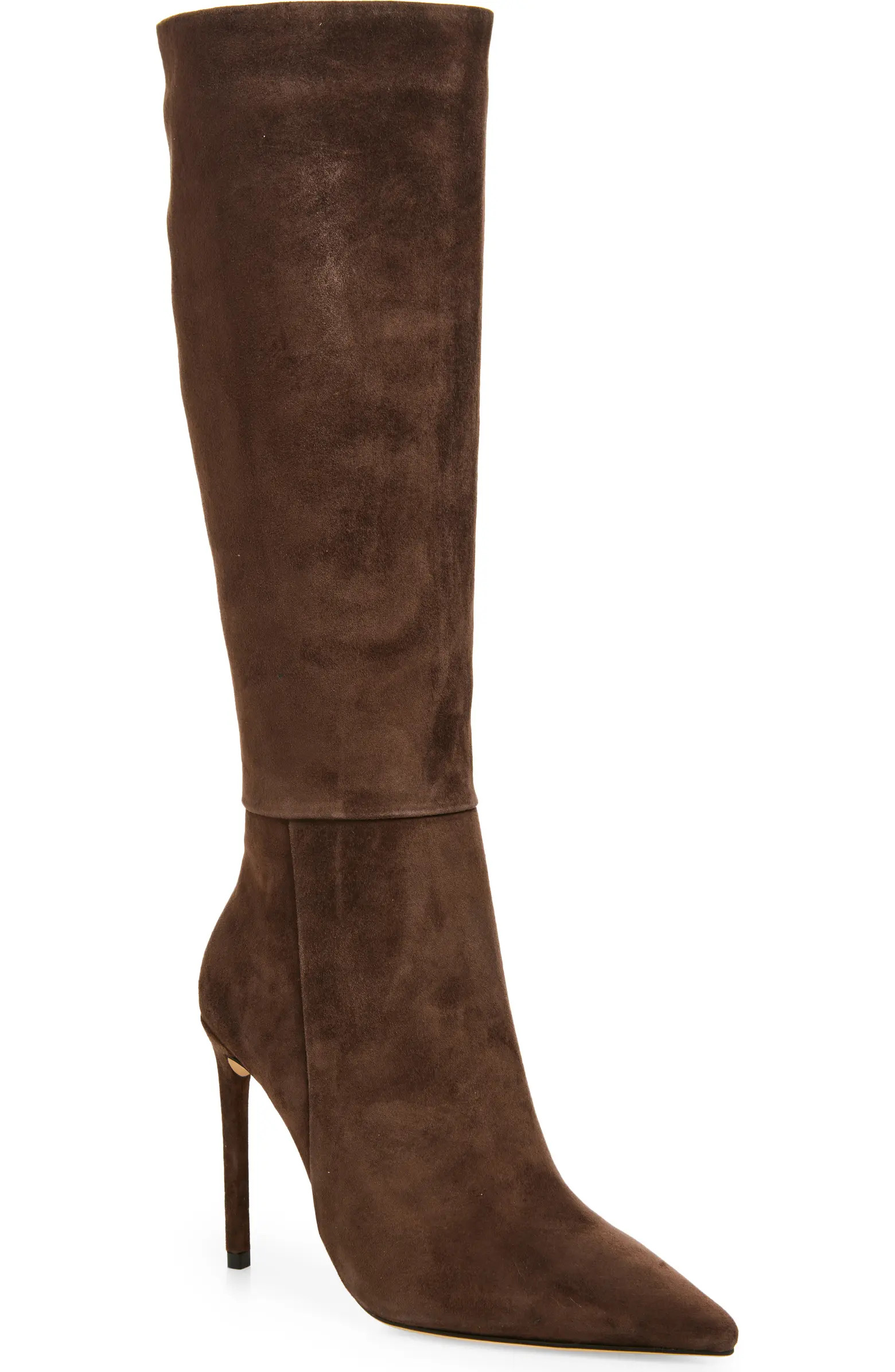 Apollo Pointed Toe Knee High Boot (Women) | Nordstrom