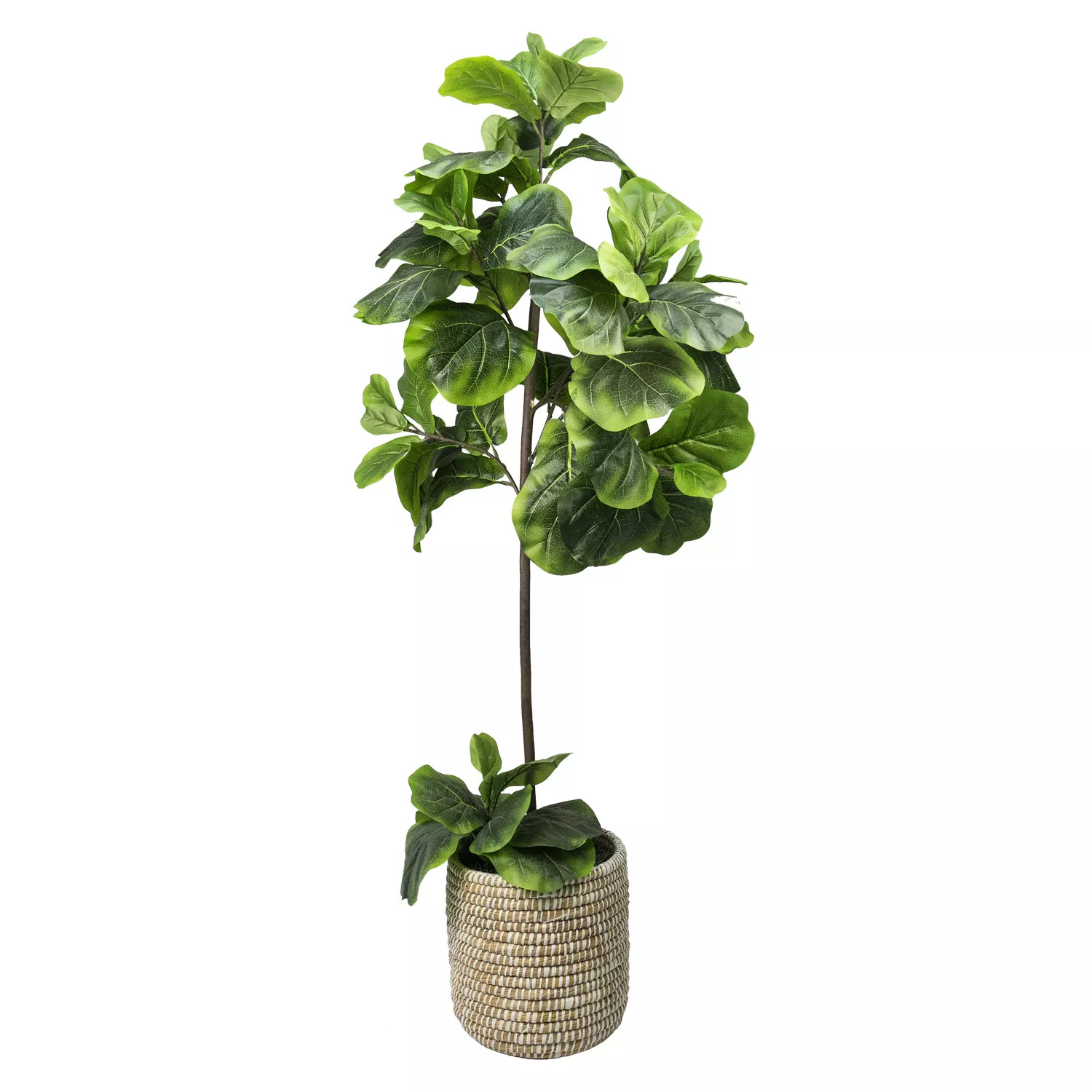 Sam's Club - Wholesale Prices on Top Brands | Sam's Club