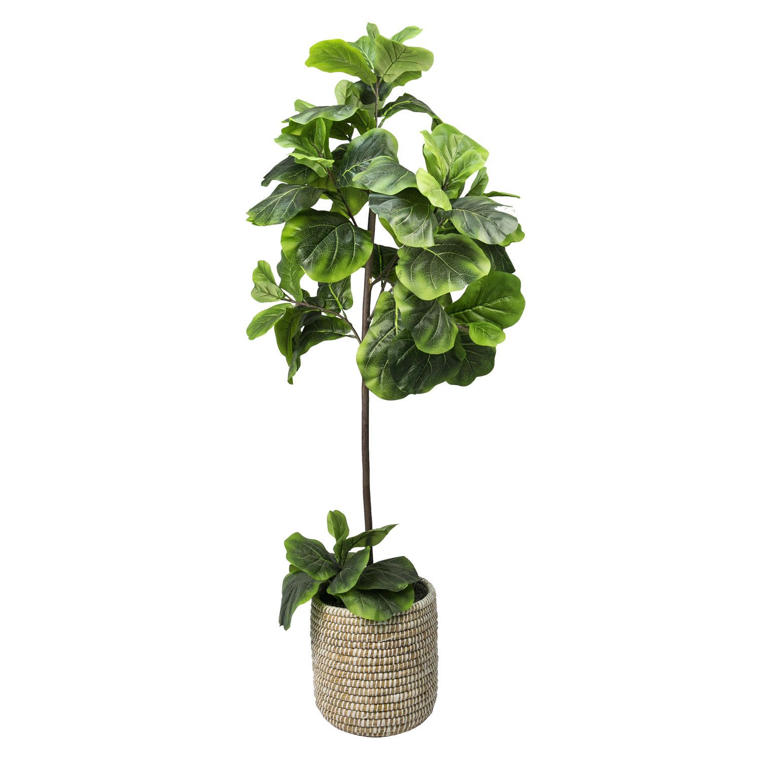 Faux 5' Fig Floor Plant | Sam's Club