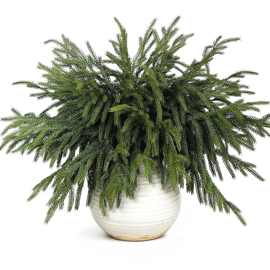 20 Pcs Christmas Norfolk Pine Branches -18" Real Touch Artificial Norfolk Pine Branch Faux Plants... | Amazon (US)