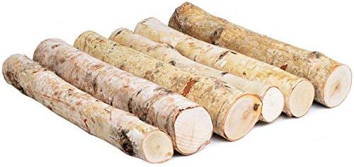 6 Pack Large White Birch Logs for Fireplace Unfinished Wood Crafts DIY Home Decorative Burning(Lo... | Amazon (US)