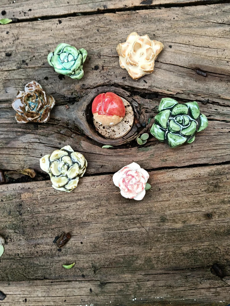 Succulents, Handmade Pieces for Mosaics or Decoration. DIY - Etsy | Etsy (Global)