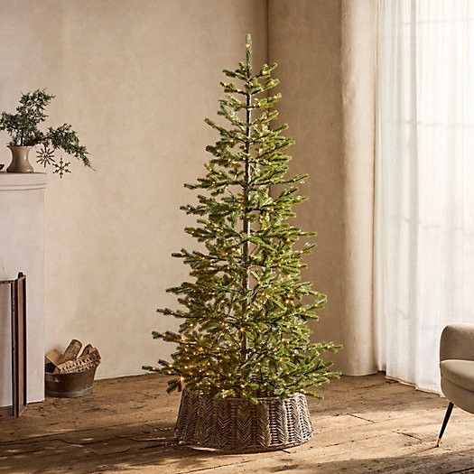 Pre-Lit Faux Silvertip Fir | Terrain