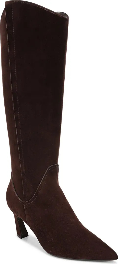 Emily Pointed Toe Knee High Boot (Women) | Nordstrom