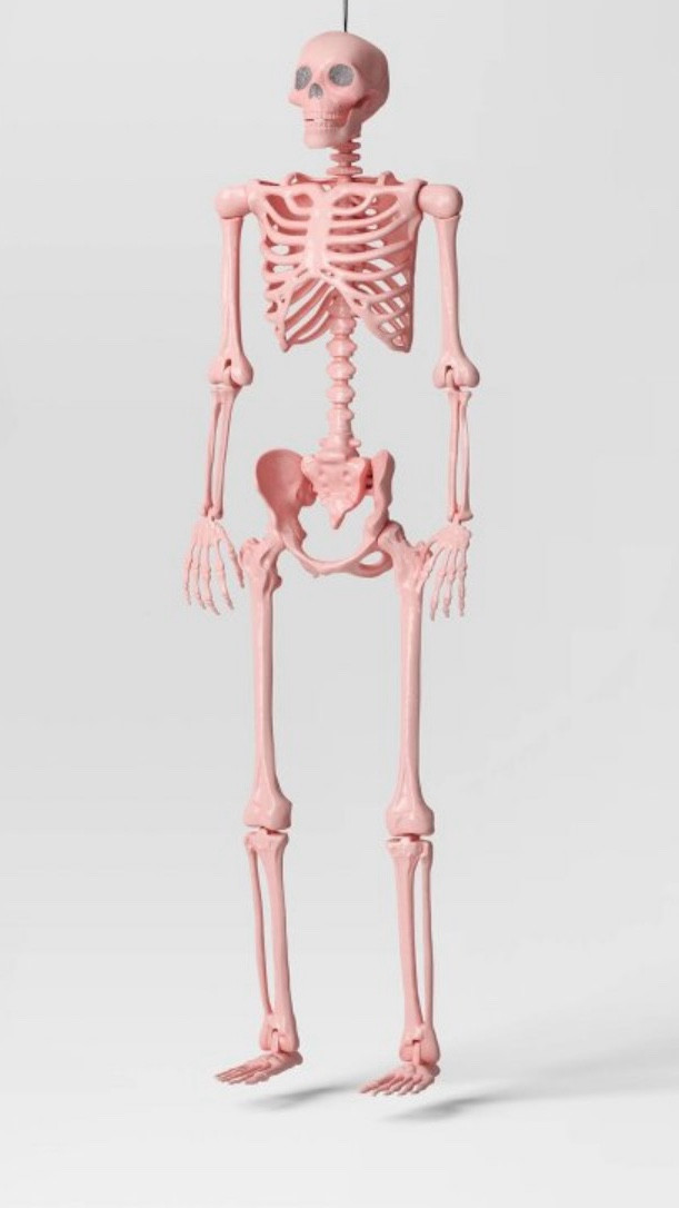 my favorite bookshelf addition 
💗💀🪩

#LTKHalloween #LTKHome #LTKSeasonal