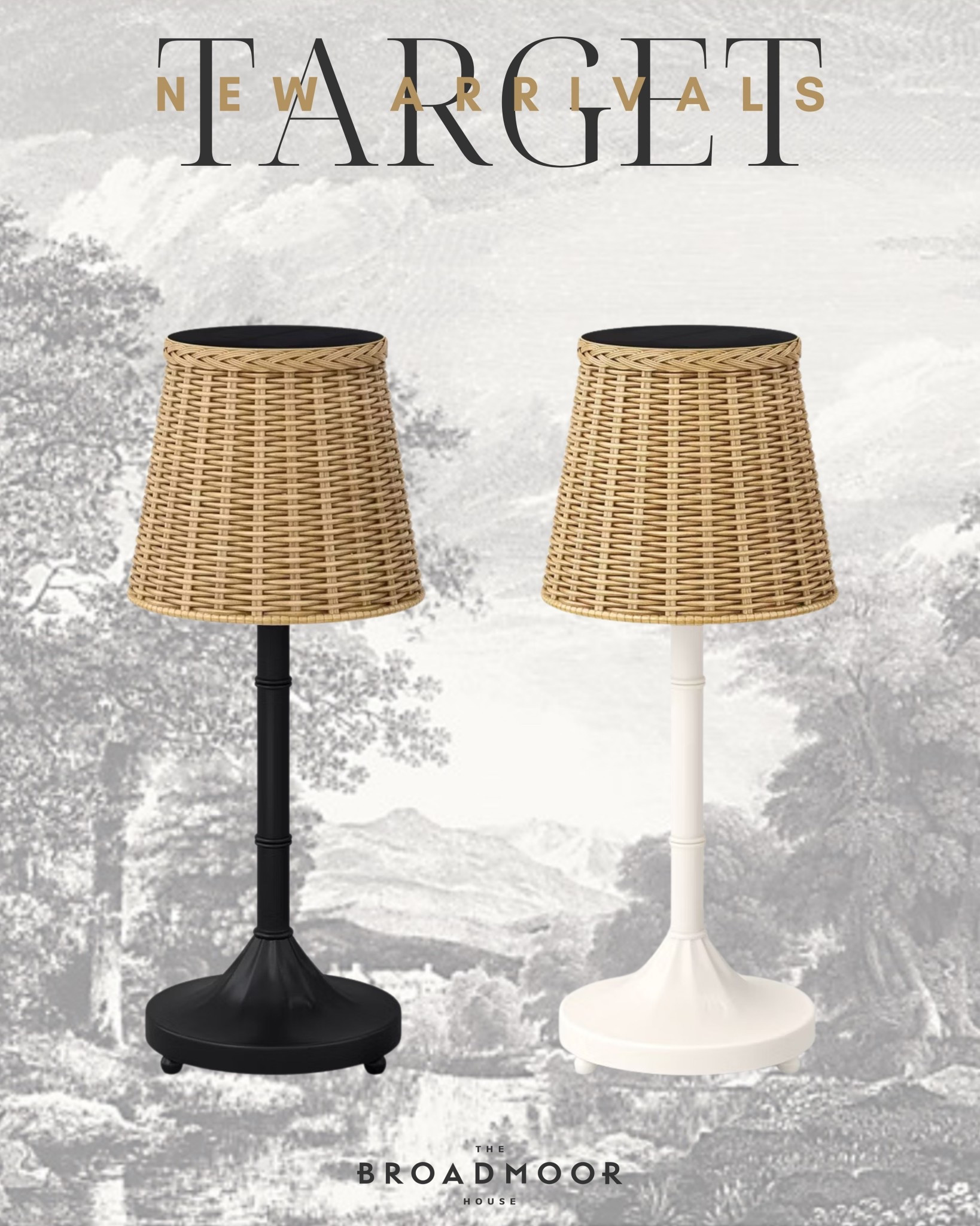 New rechargeable lamps at target

#LTKSeasonal #LTKHome