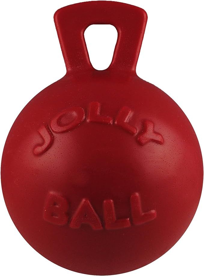 Jolly Pets Tug-n-Toss Heavy Duty Dog Toy Ball with Handle, 8 Inches/Large, Red (408 RD) | Amazon (US)